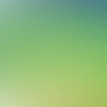 blurhash of the original image