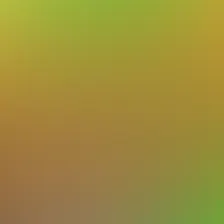 blurhash of the original image