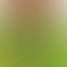 blurhash of the original image