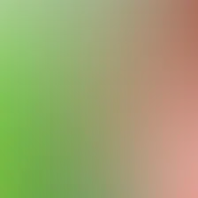 blurhash of the original image