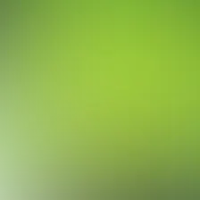 blurhash of the original image