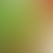 blurhash of the original image