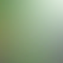 blurhash of the original image