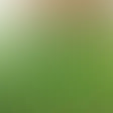 blurhash of the original image