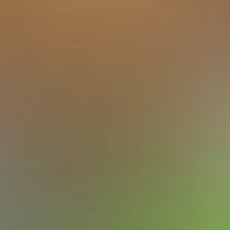 blurhash of the original image