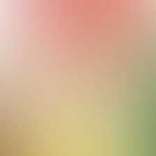 blurhash of the original image