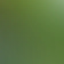 blurhash of the original image