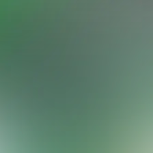 blurhash of the original image