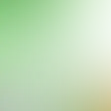 blurhash of the original image