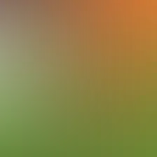 blurhash of the original image