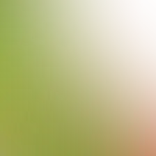 blurhash of the original image