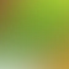 blurhash of the original image