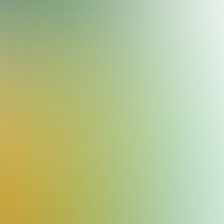 blurhash of the original image