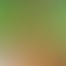 blurhash of the original image