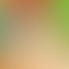 blurhash of the original image