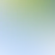 blurhash of the original image