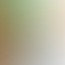 blurhash of the original image