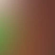 blurhash of the original image