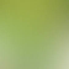 blurhash of the original image