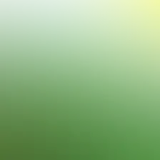 blurhash of the original image