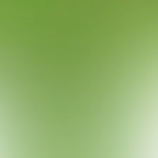 blurhash of the original image