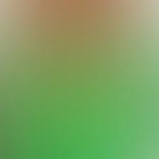 blurhash of the original image