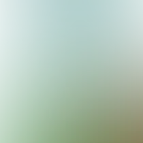 blurhash of the original image