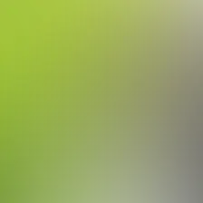 blurhash of the original image