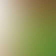 blurhash of the original image