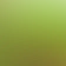 blurhash of the original image