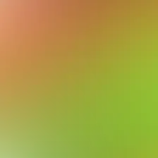 blurhash of the original image