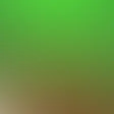 blurhash of the original image