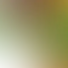 blurhash of the original image