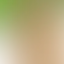 blurhash of the original image