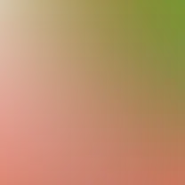 blurhash of the original image