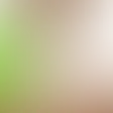 blurhash of the original image