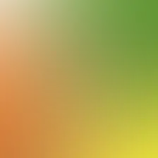 blurhash of the original image