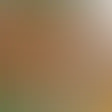 blurhash of the original image