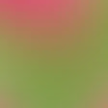 blurhash of the original image