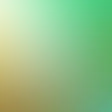 blurhash of the original image