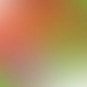 blurhash of the original image