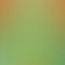 blurhash of the original image