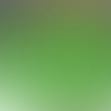 blurhash of the original image