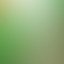 blurhash of the original image