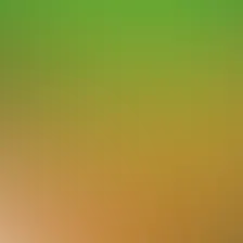 blurhash of the original image