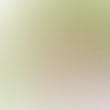 blurhash of the original image