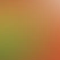 blurhash of the original image