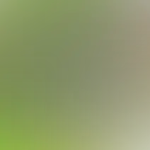 blurhash of the original image