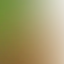 blurhash of the original image