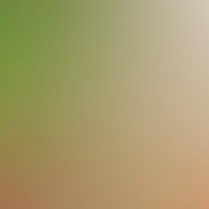 blurhash of the original image